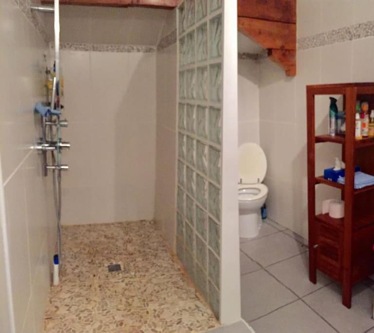 Grande Maison Confortable A Bagneres מראה חיצוני תמונה